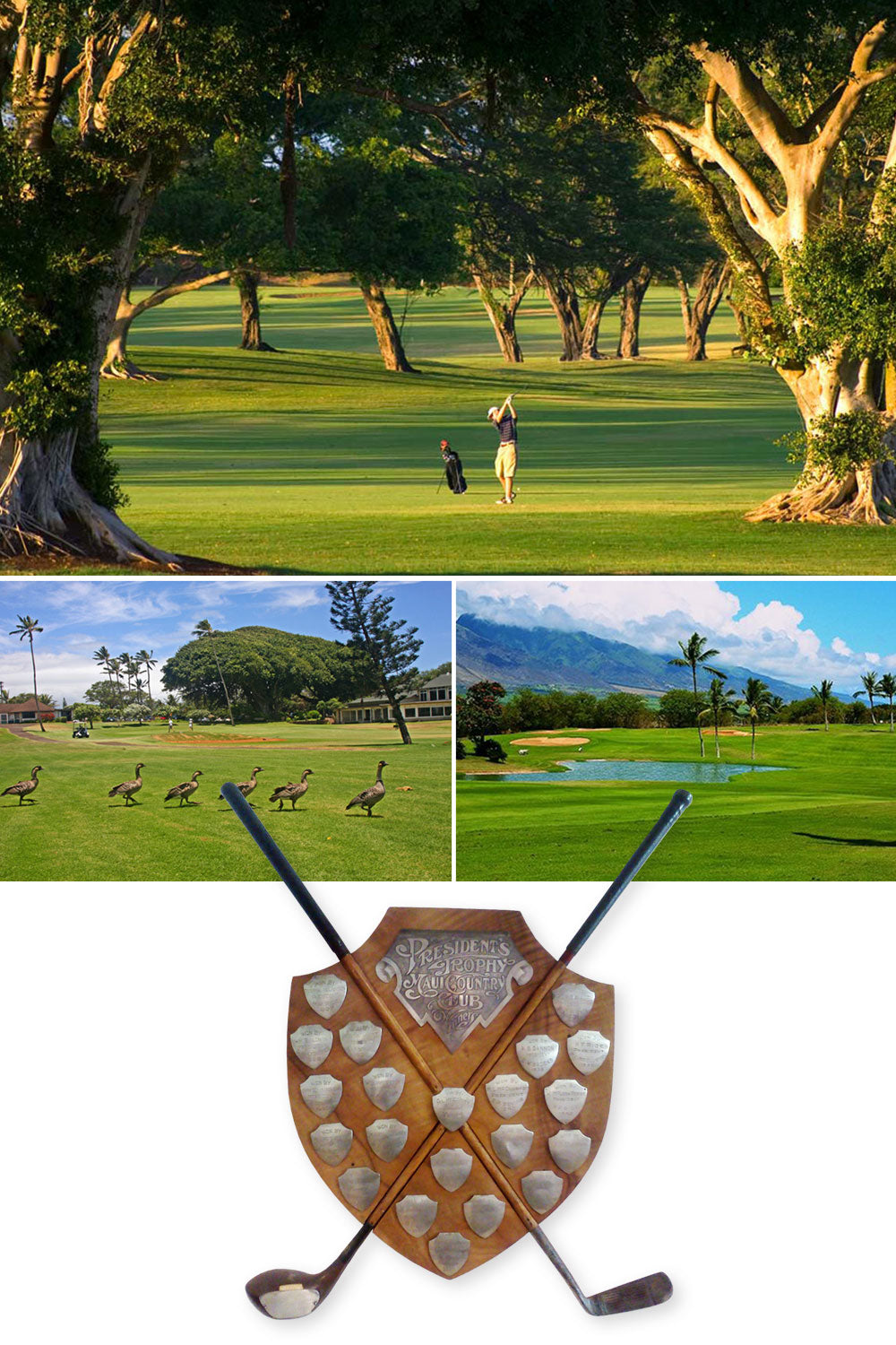 Maui Country Club: A Legacy of Golf and Community Since 1925