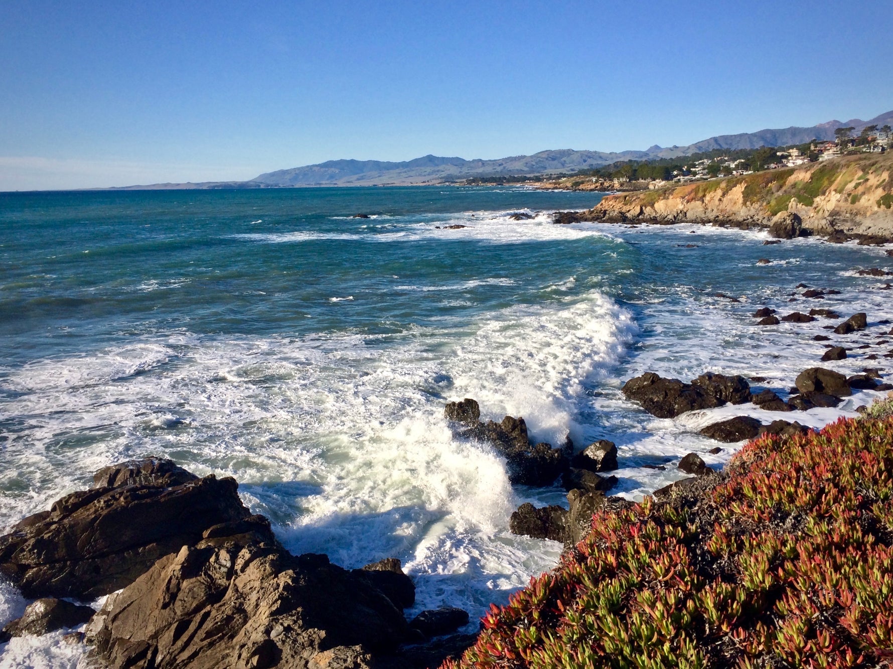 Malibu Shirts: A Legacy of Coastal Style and Sustainable Fashion