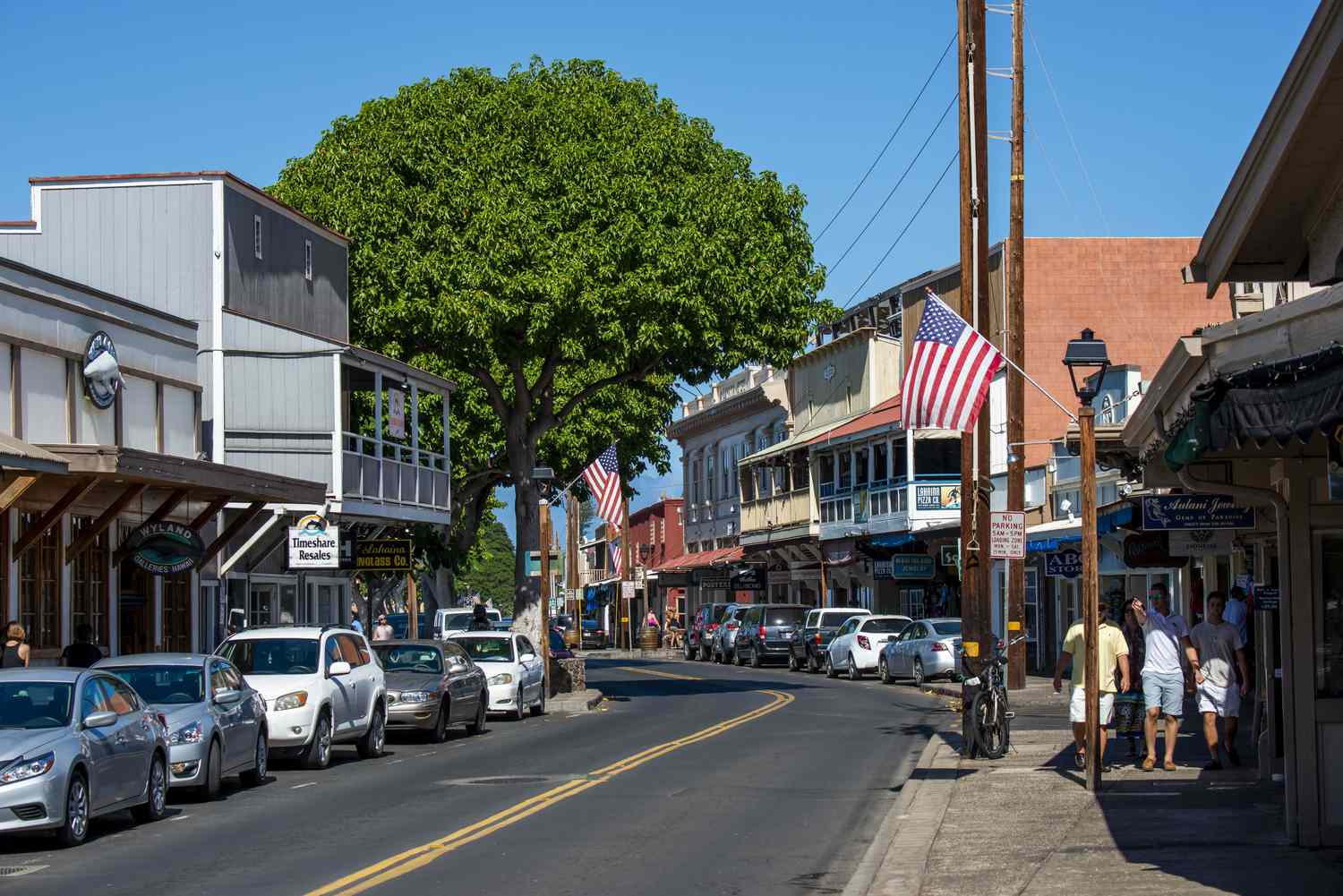 Rising from the Ashes: Malibu Shirts and the Resilience of Maui