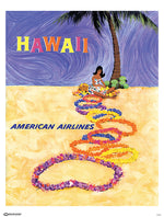 American Airlines Hawaii Poster