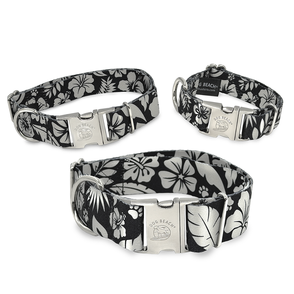 Dog Beach Adjustable Collar