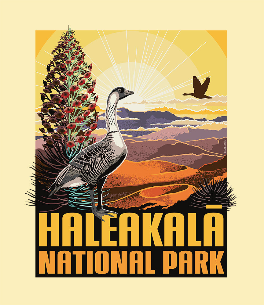 Haleakala National Park T-Shirt