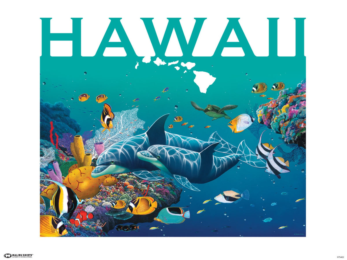 Hawaii Rainbow Sea Poster