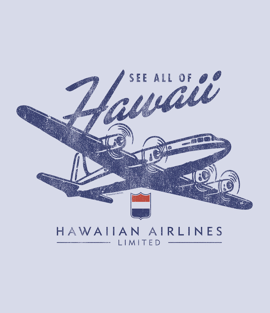 Hawaiian Airlines Tシャツ Mサイズ 2枚セット Hawaiian Airlines Wings T-Shirt – Malibu Shirts
