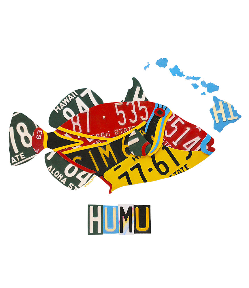 Humu License Plate Men's T-Shirt