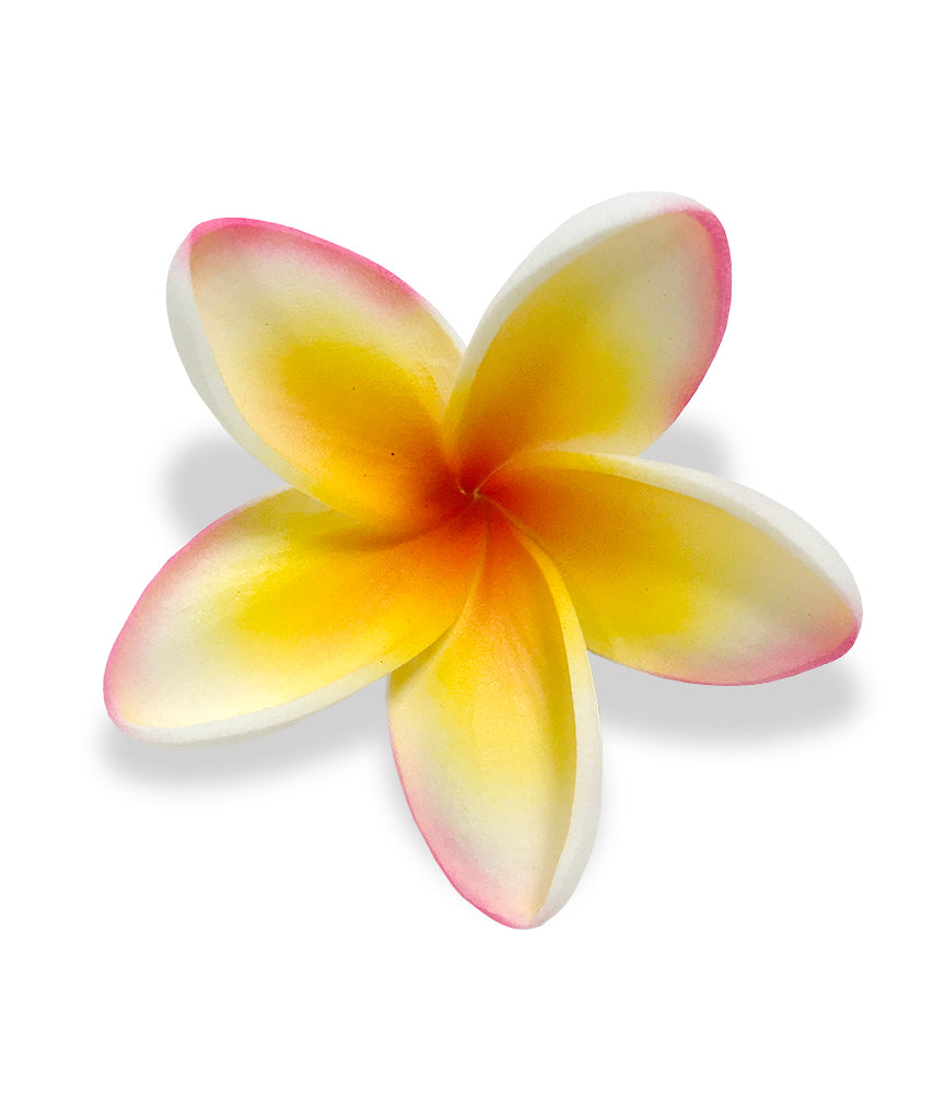 Plumeria Hair Clip