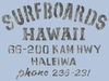 Surfboards Hawaii Ladies V Neck