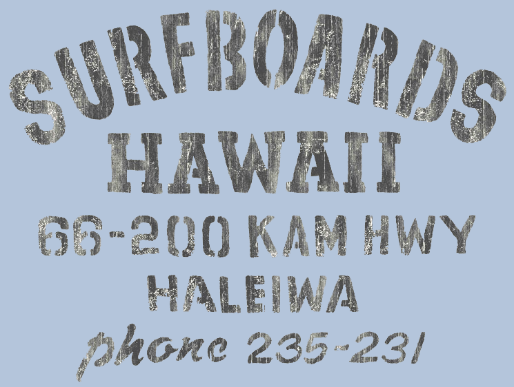Surfboards Hawaii Ladies V Neck